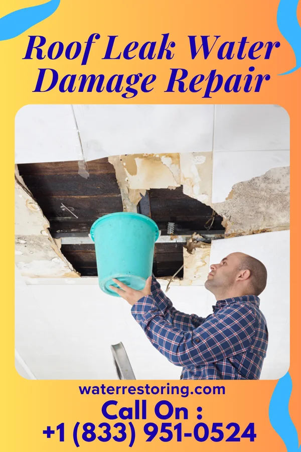 Roof Leak Water Damage Repair in Spurgeon, TN