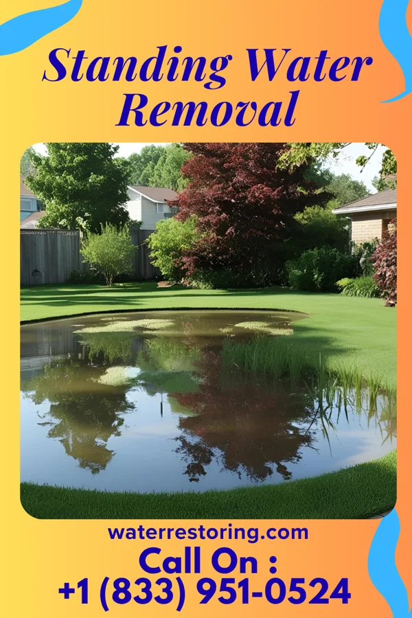 Standing Water Removal in Spurgeon, TN